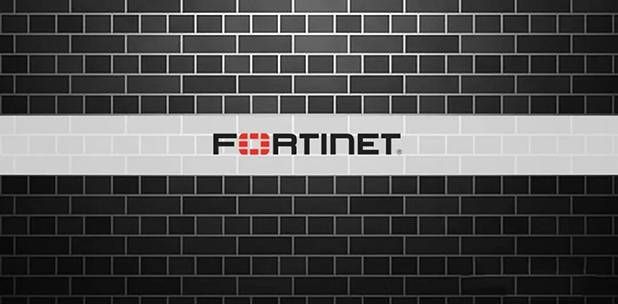 金瀚信安 上萬臺Fortinet VPN設(shè)備登錄憑證泄露：超一成位于中國01