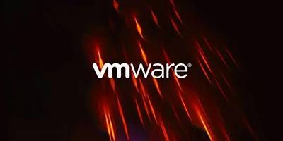 金瀚信安：VMware統(tǒng)一端點(diǎn)管理控制臺存高危漏洞1